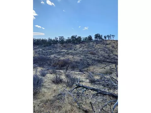 47 35th Trl, Cotopaxi, CO 81223 photo 8