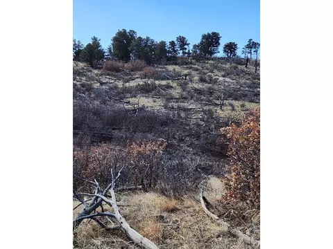 47 35th Trl, Cotopaxi, CO 81223 photo 15