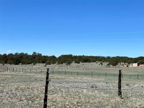 53 D Path, Cotopaxi, CO 81223 photo 8