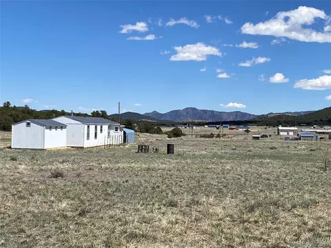 53 D Path, Cotopaxi, CO 81223 photo 10