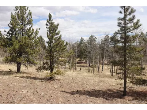 4885 Campfire Rd, Hartsel, CO 80449