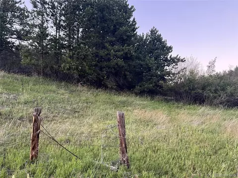 153 Hangmans Rd, Bailey, CO 80421 photo 16