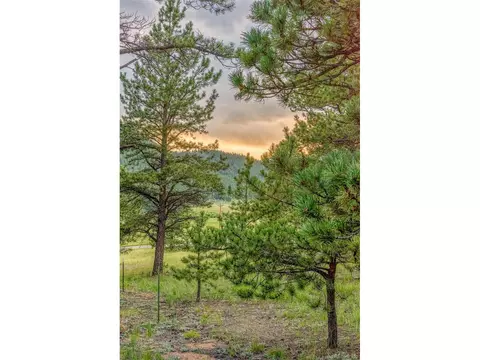 153 Hangmans Rd, Bailey, CO 80421 photo 15