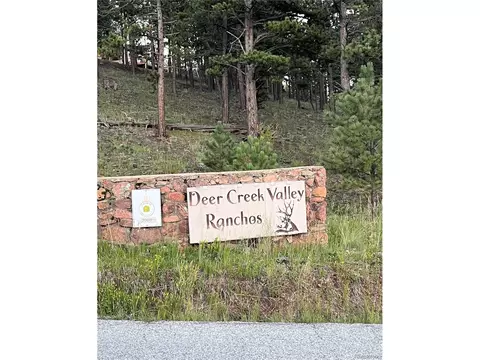 153 Hangmans Rd, Bailey, CO 80421 photo 18