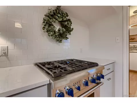2810 Eudora St, Denver, CO 80207 photo 11