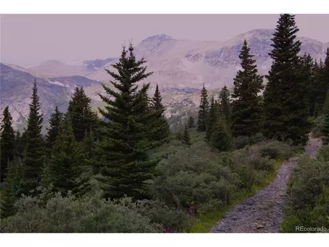 Forest Service Road 408, Alma, CO 80440
