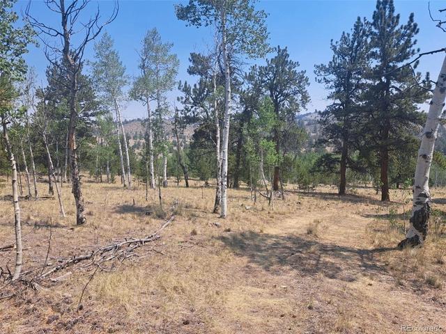 2338 Fitzsimmons Rd, Hartsel, CO 80449