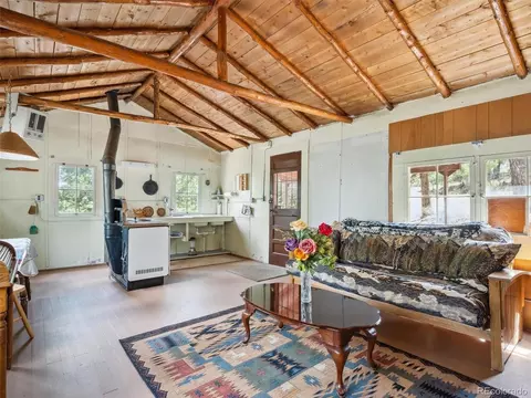 33431 Lake Ln, Pine, CO 80470 photo 6