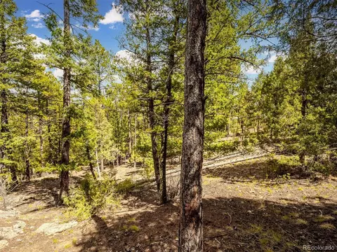 33431 Lake Ln, Pine, CO 80470 photo 14