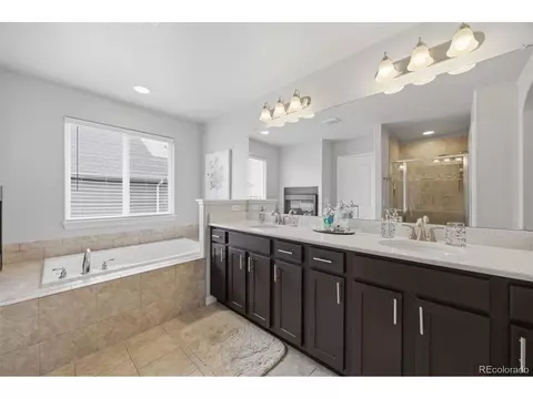 Bath - 13796 Park Meadows Dr, Peyton, CO 80831 photo 2 of 4