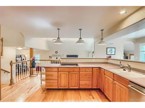 16316 E Prentice Cir, Centennial, CO 80015 photo 9