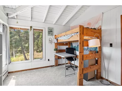 24897 Red Cloud Dr, Conifer, CO 80433 photo 32