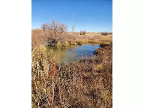 16971 County Road 102, Elbert, CO 80106 photo 39