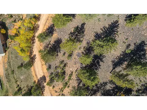 103 Gross Rd, Bailey, CO 80421 photo 4