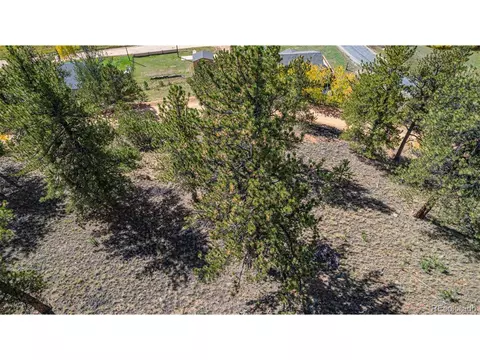 103 Gross Rd, Bailey, CO 80421 photo 7