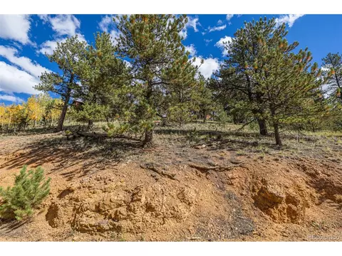 103 Gross Rd, Bailey, CO 80421 photo 14