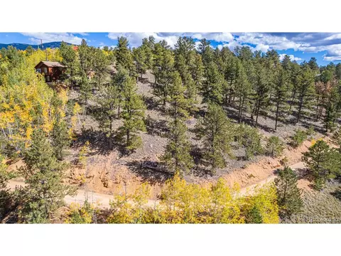 103 Gross Rd, Bailey, CO 80421 photo 8