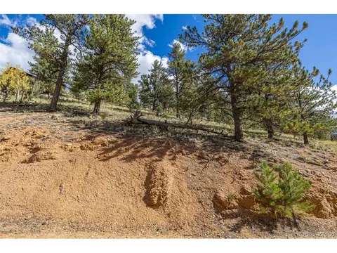 103 Gross Rd, Bailey, CO 80421 photo 16