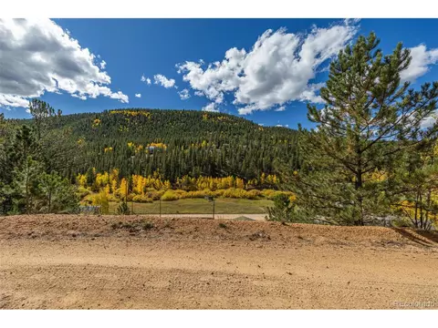 103 Gross Rd, Bailey, CO 80421 photo 13