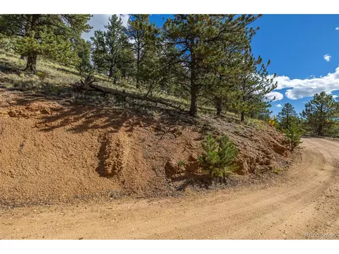 103 Gross Rd, Bailey, CO 80421 photo 20