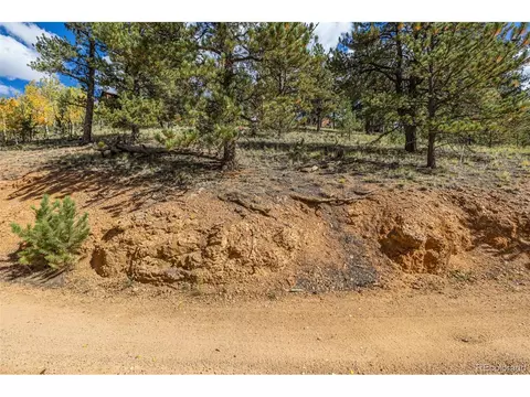 103 Gross Rd, Bailey, CO 80421 photo 17