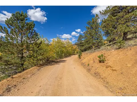 103 Gross Rd, Bailey, CO 80421 photo 21