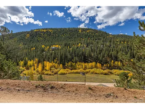 103 Gross Rd, Bailey, CO 80421 photo 10