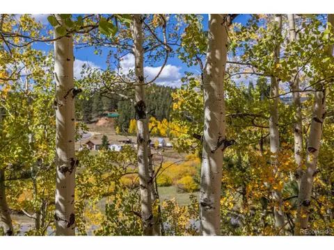 103 Gross Rd, Bailey, CO 80421 photo 9