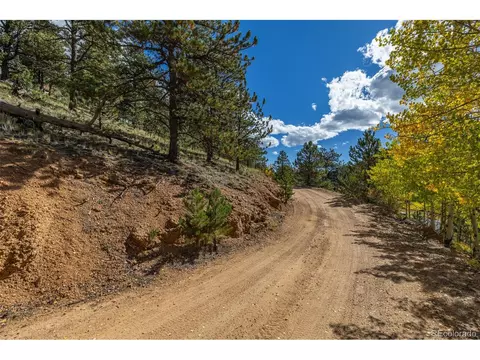 103 Gross Rd, Bailey, CO 80421 photo 19