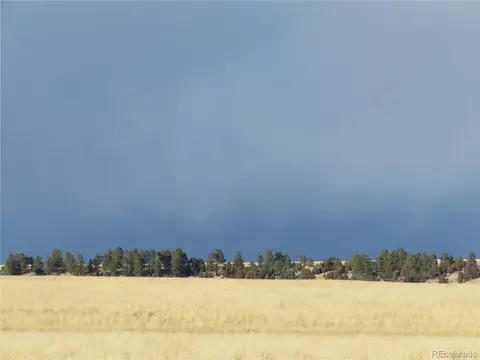 21545 Elk Meadows Cir, Elbert, CO 80106 photo 11