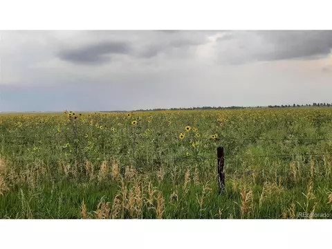 21545 Elk Meadows Cir, Elbert, CO 80106 photo 22
