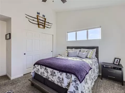 1003 Lucca Dr, Evans, CO 80620 photo 16