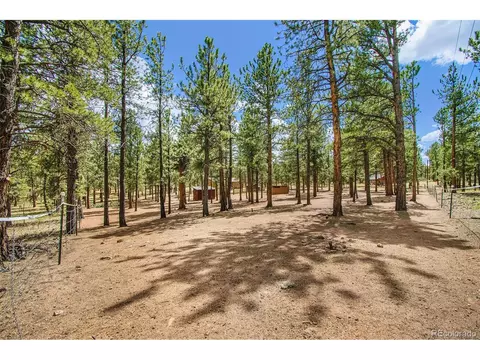 929 Tincup Ter, Bailey, CO 80421 photo 27