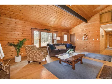 929 Tincup Ter, Bailey, CO 80421 photo 5