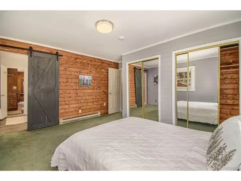 929 Tincup Ter, Bailey, CO 80421 photo 12