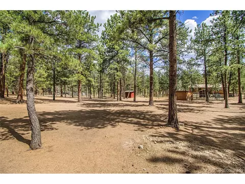 929 Tincup Ter, Bailey, CO 80421 photo 29
