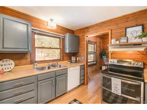 929 Tincup Ter, Bailey, CO 80421 photo 9
