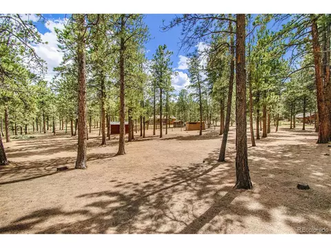 929 Tincup Ter, Bailey, CO 80421 photo 28