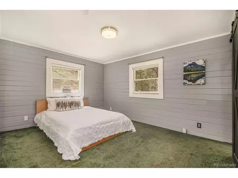 929 Tincup Ter, Bailey, CO 80421 photo 13
