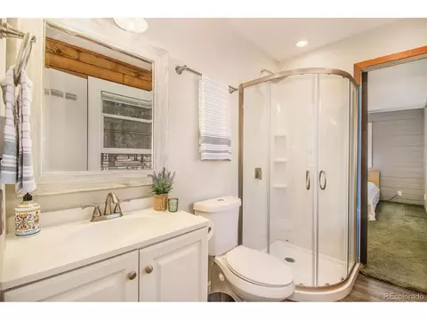 929 Tincup Ter, Bailey, CO 80421 photo 10