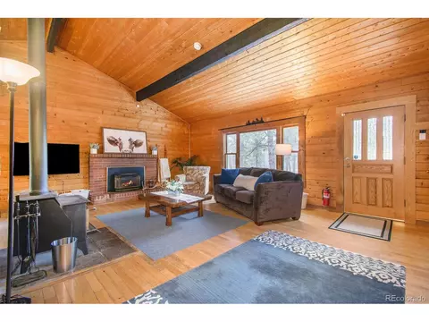 929 Tincup Ter, Bailey, CO 80421 photo 2