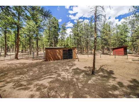 929 Tincup Ter, Bailey, CO 80421 photo 30