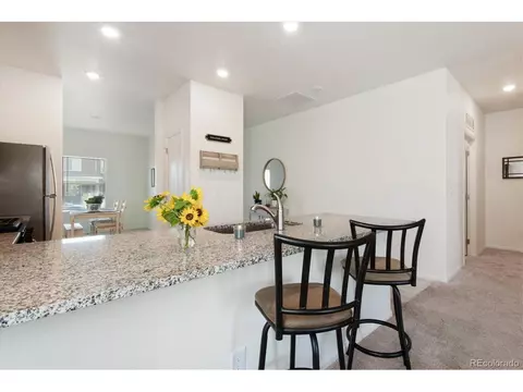 391 Spruce St, Bennett, CO 80102 photo 8