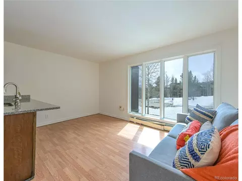 3622 Ryan Gulch, Silverthorne, CO 80498