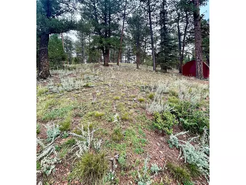 33751 Nova Rd, Pine, CO 80470 photo 7