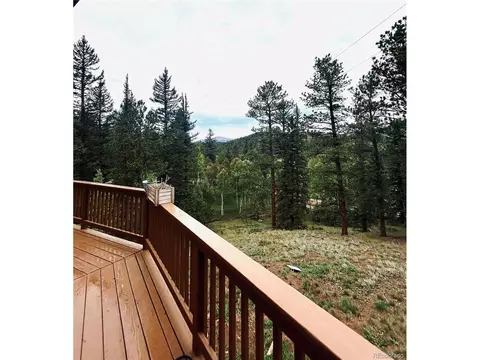 33751 Nova Rd, Pine, CO 80470 photo 4