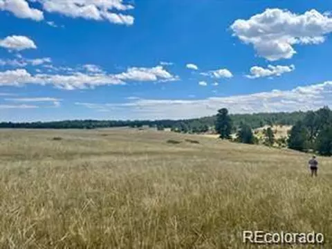 11726 Cr 102, Elbert, CO 80116 photo 3