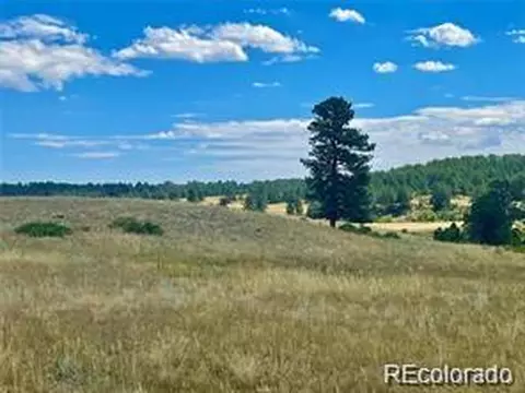 11726 Cr 102, Elbert, CO 80116