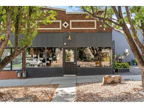 925 Steele St, Denver, CO 80206 photo 37