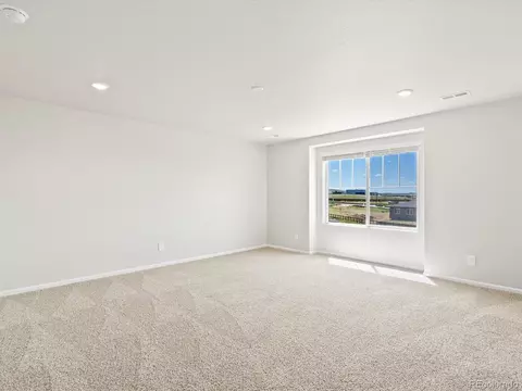 17478 E 90th Pl, Commerce City, CO 80022 photo 18
